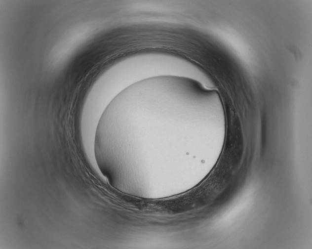 X0000111210387200907291256