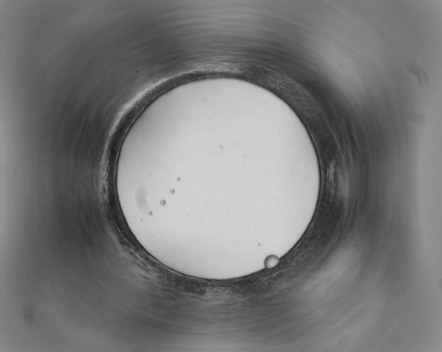 X0000111210388200907291256