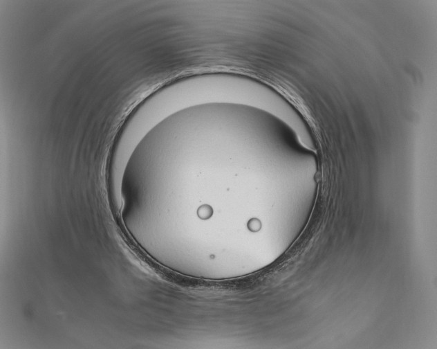 X0000111210389200907291256