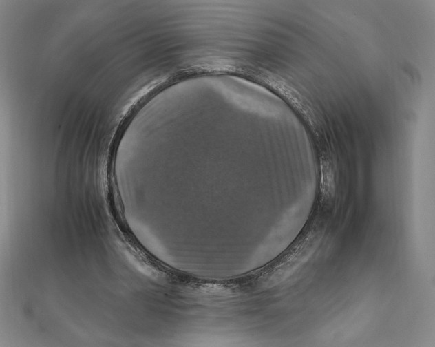 X0000111210390200907291256