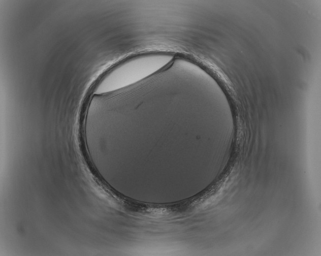 X0000111210391200907291256