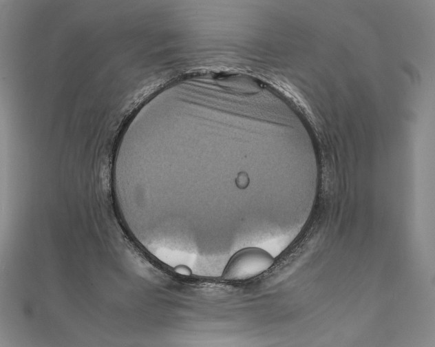 X0000111210393200907291256