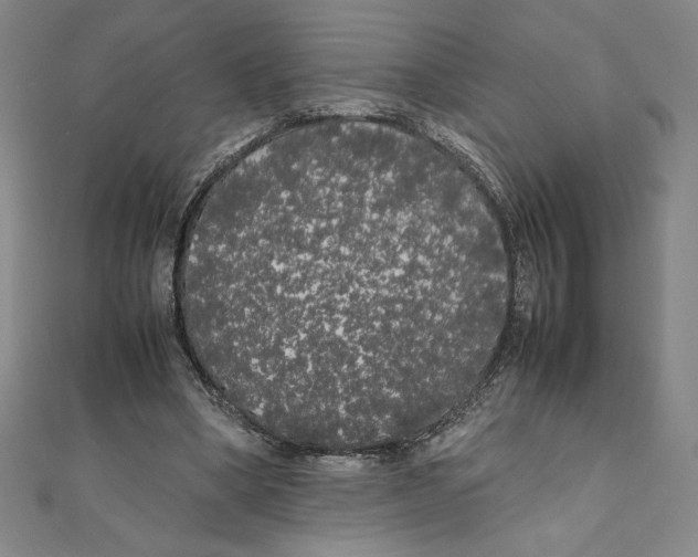 X0000111210394200907291256