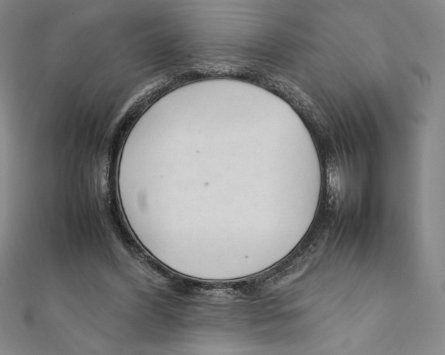 X0000111210396200907291256