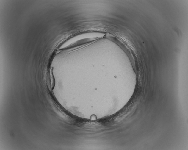 X0000111210397200907291256