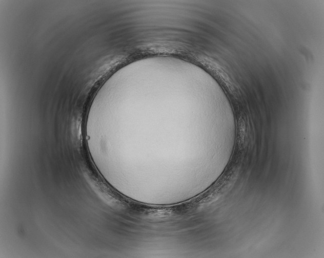 X0000111210398200907291256