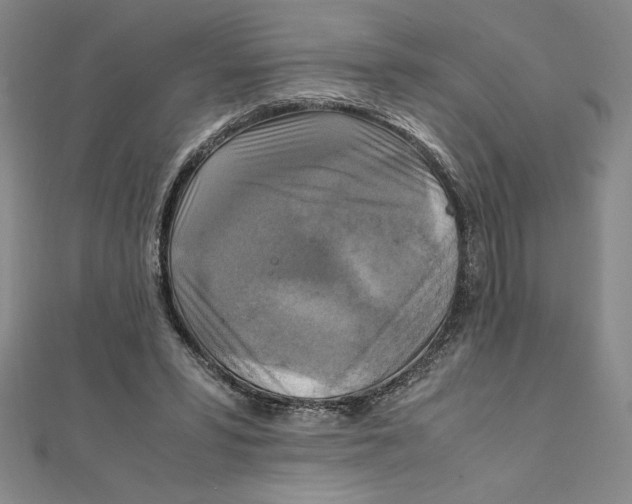 X0000111210399200907291256