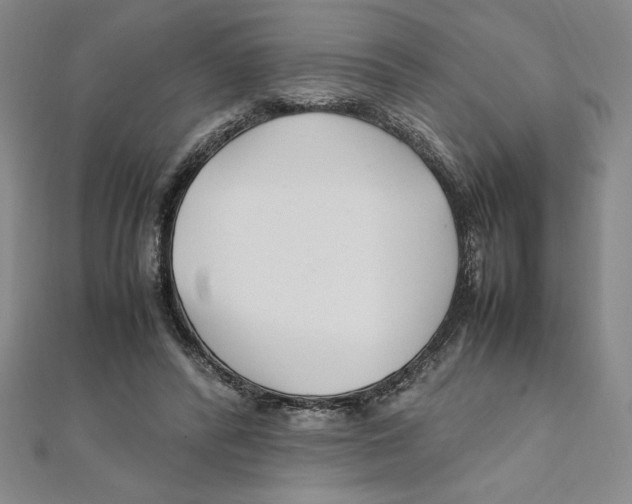 X0000111210400200907291256