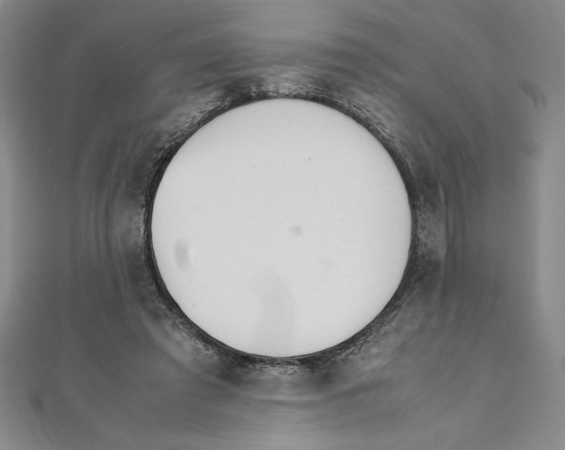 X0000111210401200907291256