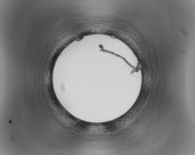 X0000111210403200907291256