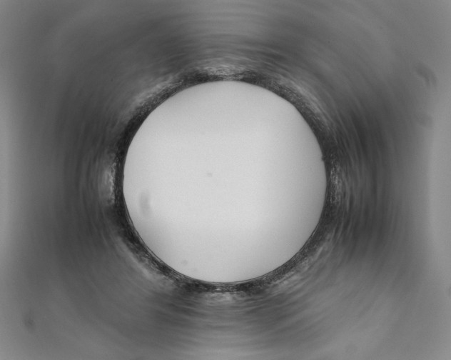 X0000111210404200907291256