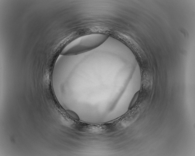 X0000111210405200907291256