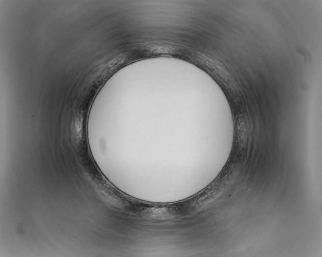 X0000111210406200907291255