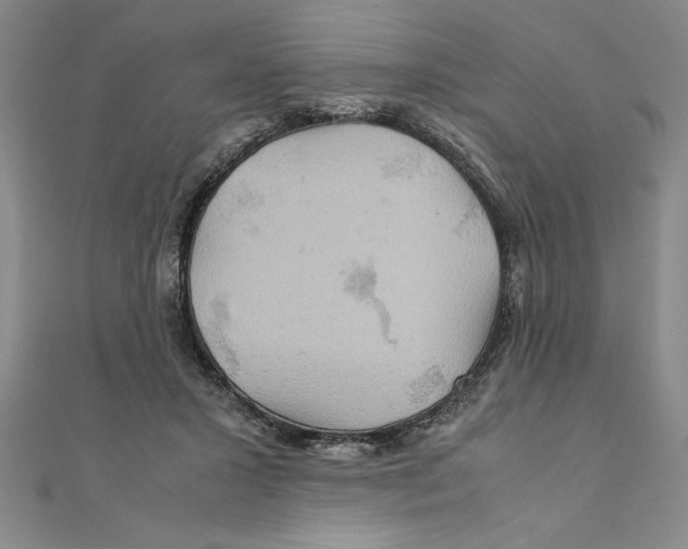 X0000111210407200907291255