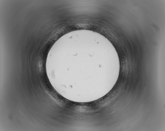 X0000111210408200907291255