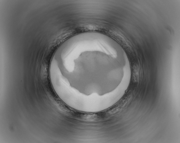 X0000111210410200907291255