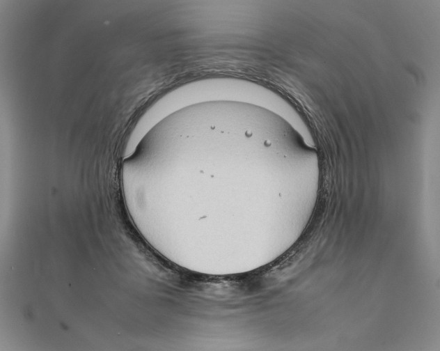 X0000111210411200907291255