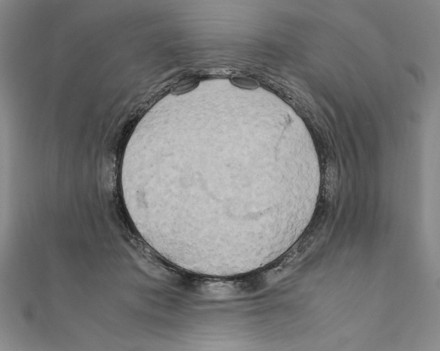 X0000111210413200907291255