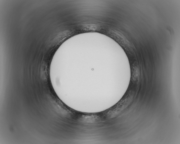 X0000111210414200907291255