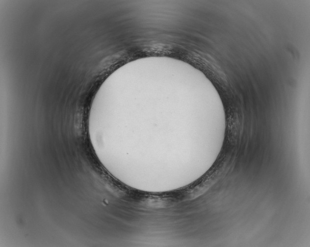 X0000111210416200907291255