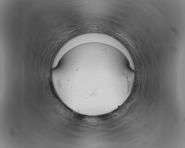 X0000111210417200907291255