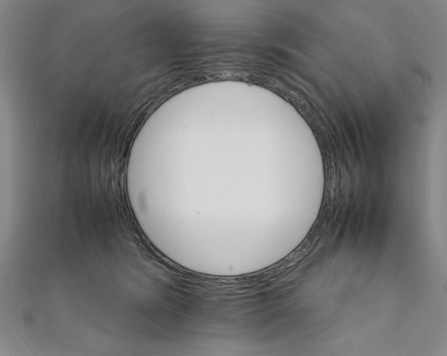 X0000111210420200907291255