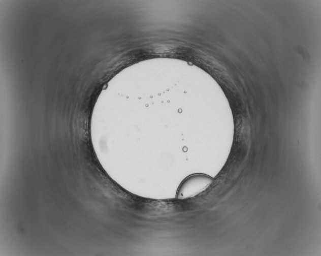 X0000111210421200907291255