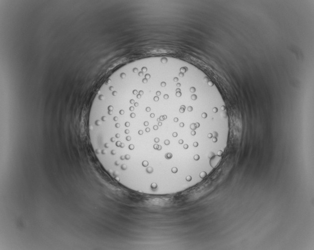 X0000111210422200907291255