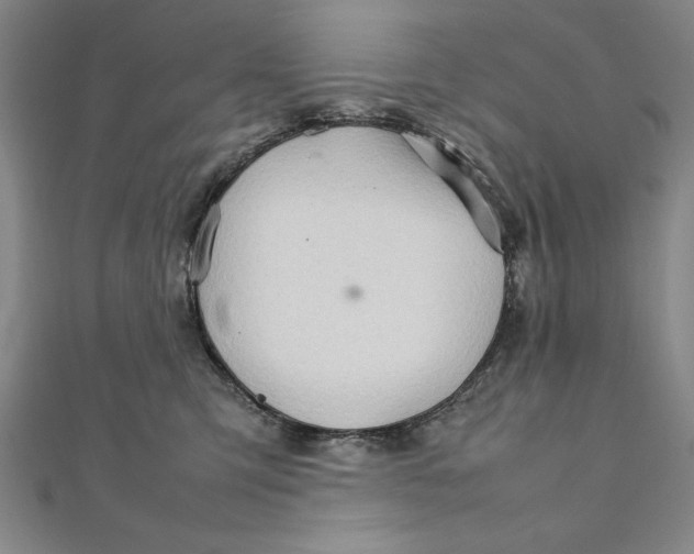 X0000111210423200907291255