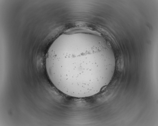 X0000111210424200907291255