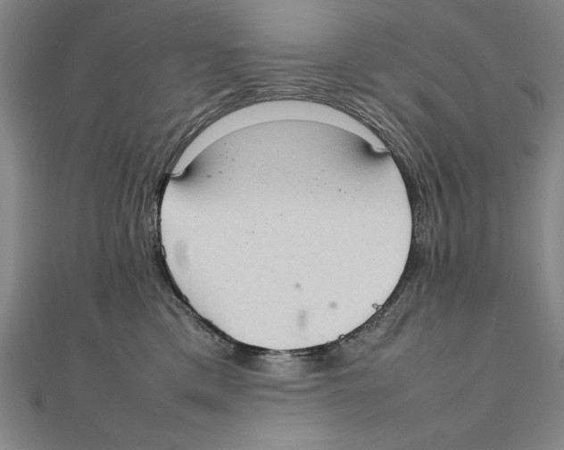 X0000111210425200907291255