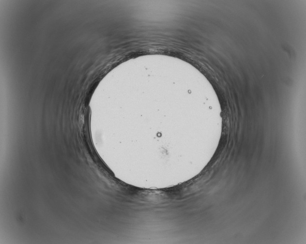 X0000111210427200907291255