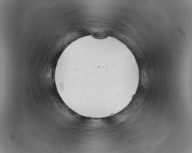 X0000111210428200907291255