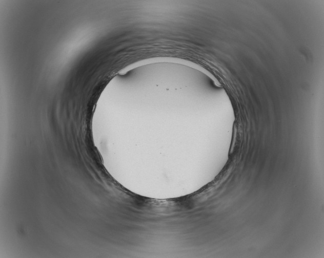 X0000111210429200907291255