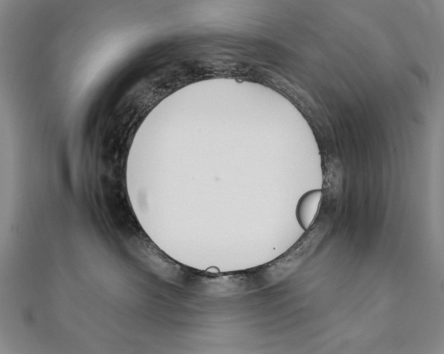 X0000111210430200907291255