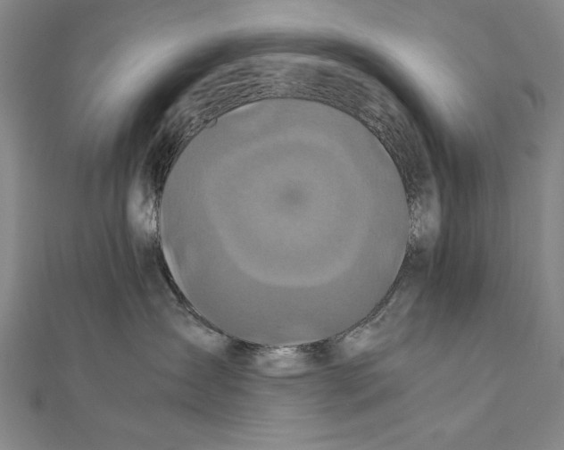 X0000111210431200907291255