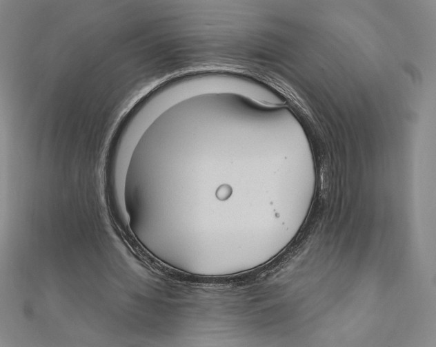 X0000111210436200907291255