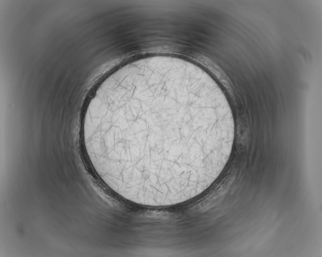 X0000111210437200907291255