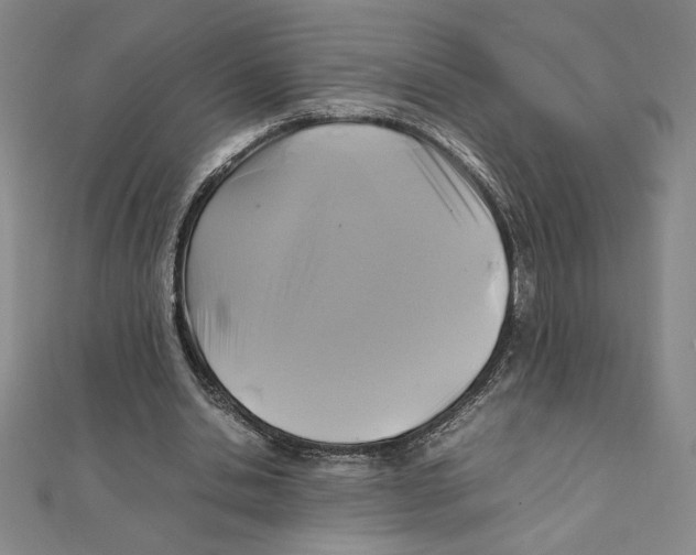 X0000111210438200907291255