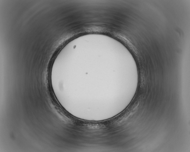 X0000111210439200907291255