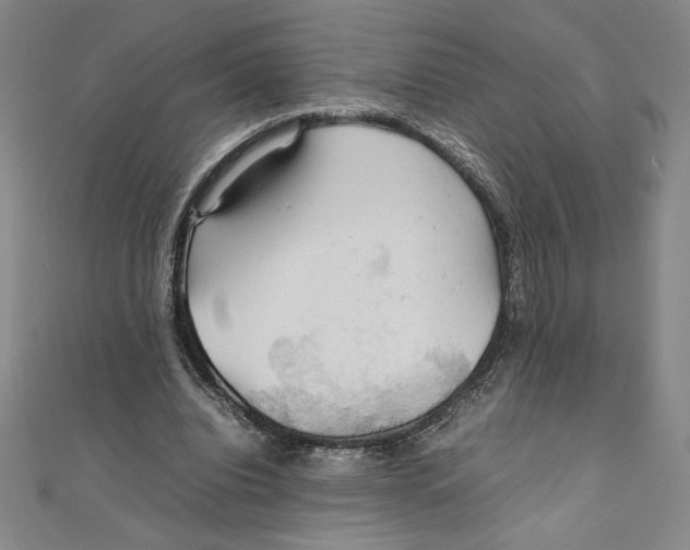 X0000111210440200907291255