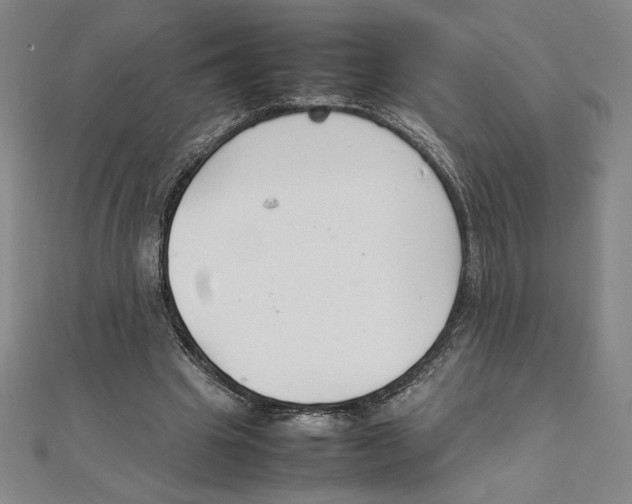 X0000111210441200907291255