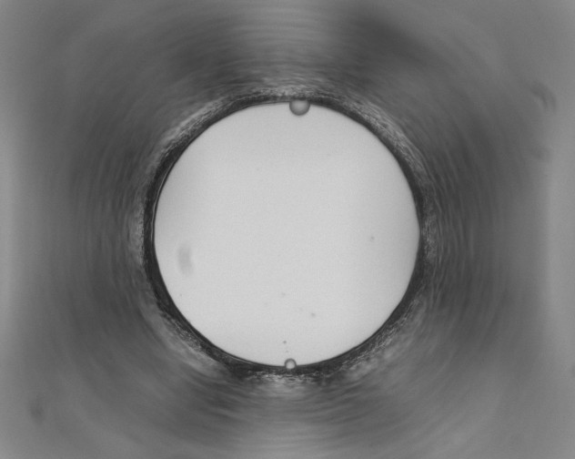 X0000111210442200907291255