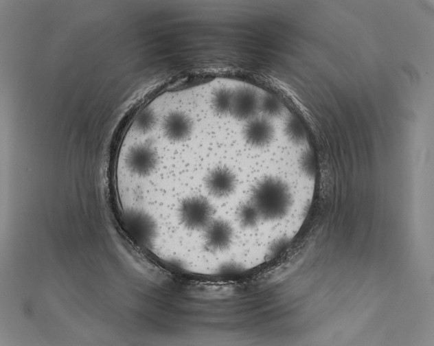 X0000111210443200907291255