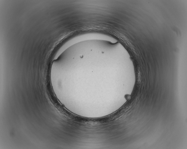 X0000111210444200907291255