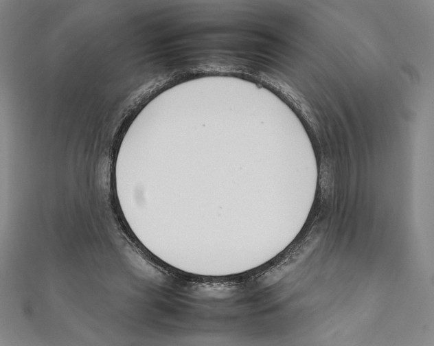 X0000111210445200907291255