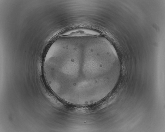 X0000111210446200907291255