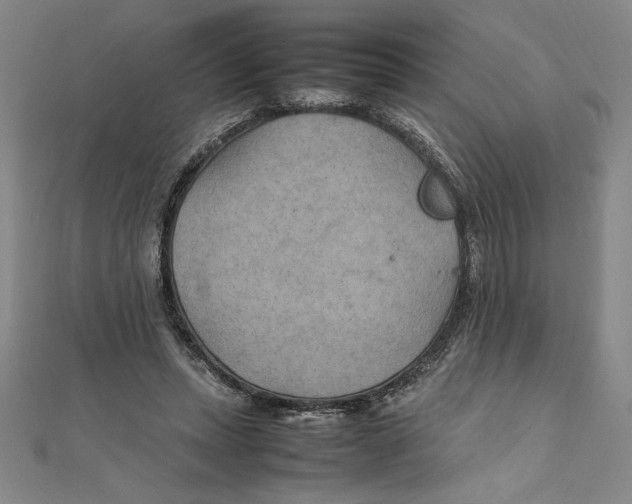 X0000111210447200907291255