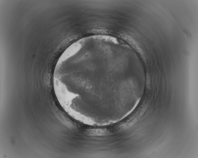 X0000111210449200907291255