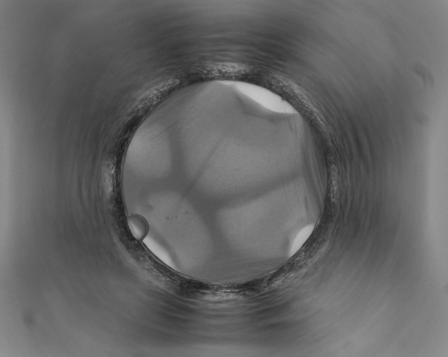 X0000111210451200907291255